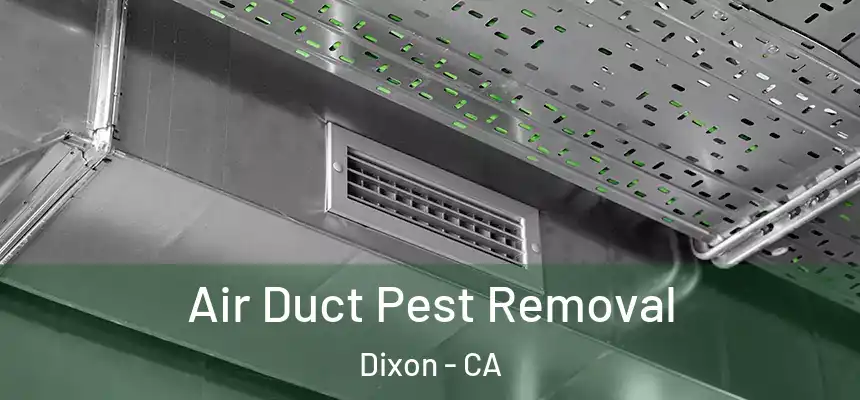  Air Duct Pest Removal Dixon - CA