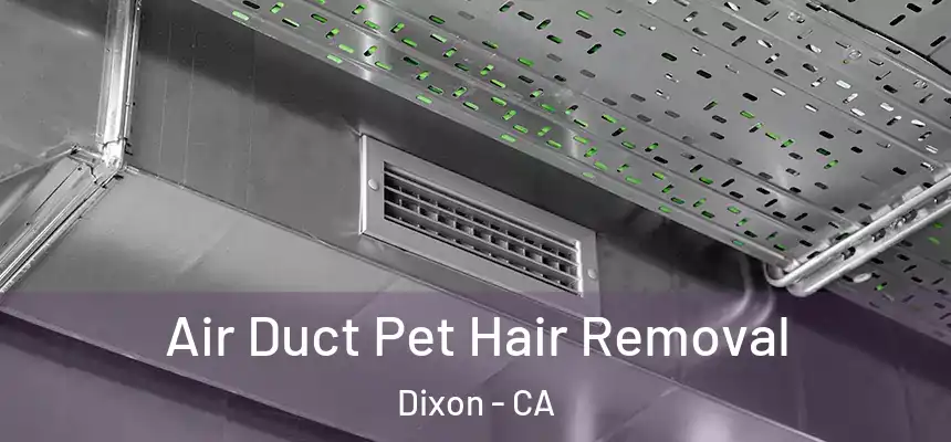  Air Duct Pet Hair Removal Dixon - CA