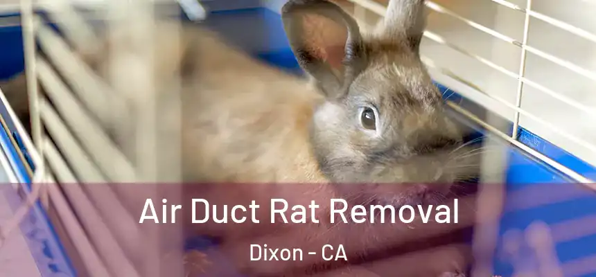  Air Duct Rat Removal Dixon - CA