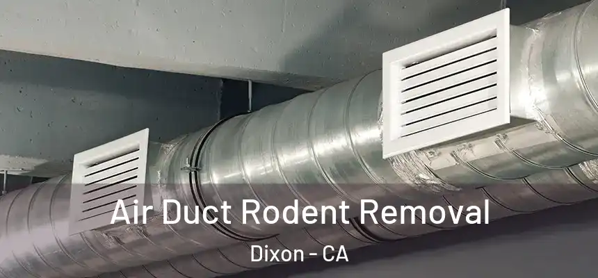 Air Duct Rodent Removal Dixon - CA
