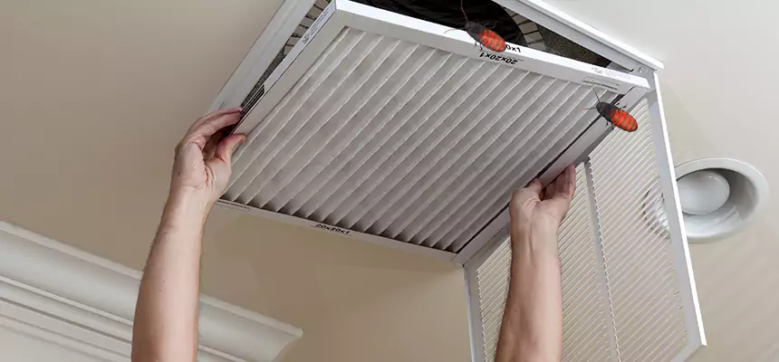 Preventive Cockroach-Proofing for Ducts in Dixon