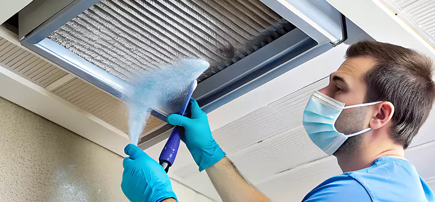 Proactive Dryer Vent & Auxiliary Duct Pollen Cleanup in Dixon, CA