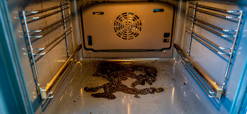 Our Dryer Vent Mold Cleaning Services in Dixon, CA