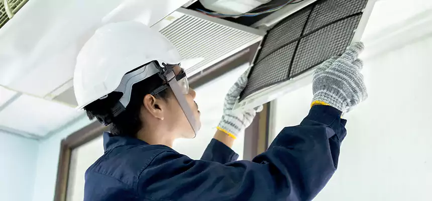 Our Mold & Mildew Removal from Air Ducts Services in Dixon, CA