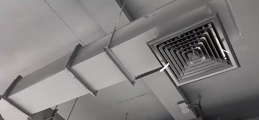 Our Pest Removal From Ducts Services in Dixon, CA