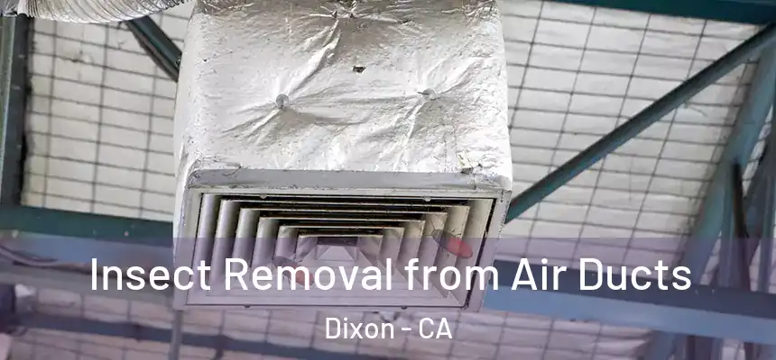  Insect Removal from Air Ducts Dixon - CA