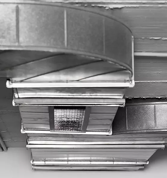 Professional Air Duct Pest Removal in Dixon, CA