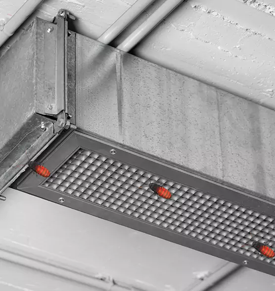 Affordable Insect Removal from Air Ducts in Dixon, CA